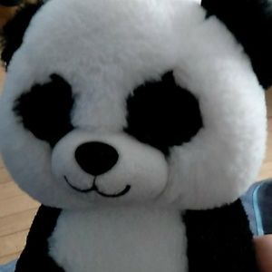 Meet your Posher, Antonio